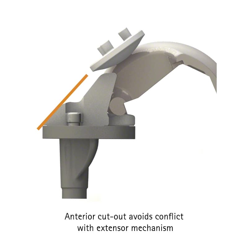 VEGA System®-Product Picture Web Enlargement